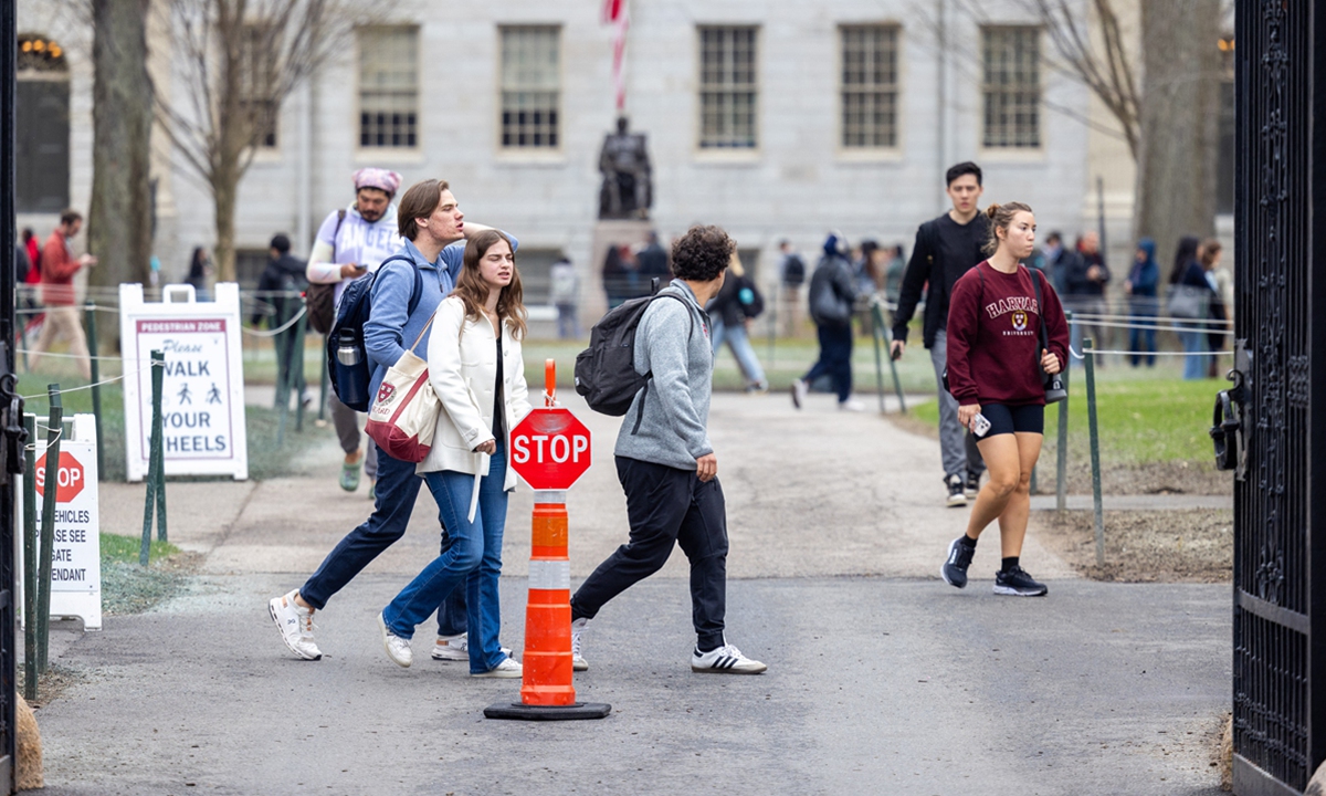 People walk in Harvard Yard at Harvard University on April 15, 2025, in Cambridge, Massachusetts. Photo:AFP People walk in Harvard Yard at Harvard University on April 15, 2025, in Cambridge, Massachusetts. Photo:AFP