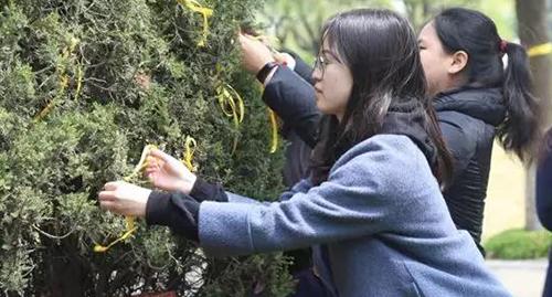 WDCM上传图片 WDCM上传图片