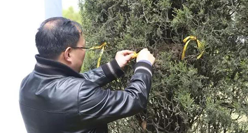 WDCM上传图片 WDCM上传图片