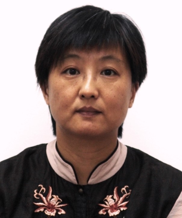 2014年中心优秀结项课题：文化的桥梁----日本近代汉学论