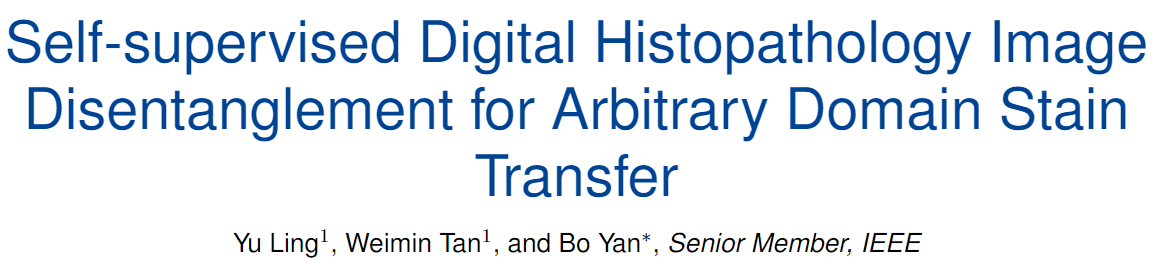 实验室论文被IEEE TMI&...
