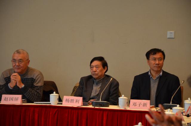 技术委员会主任杨胜利主持会议