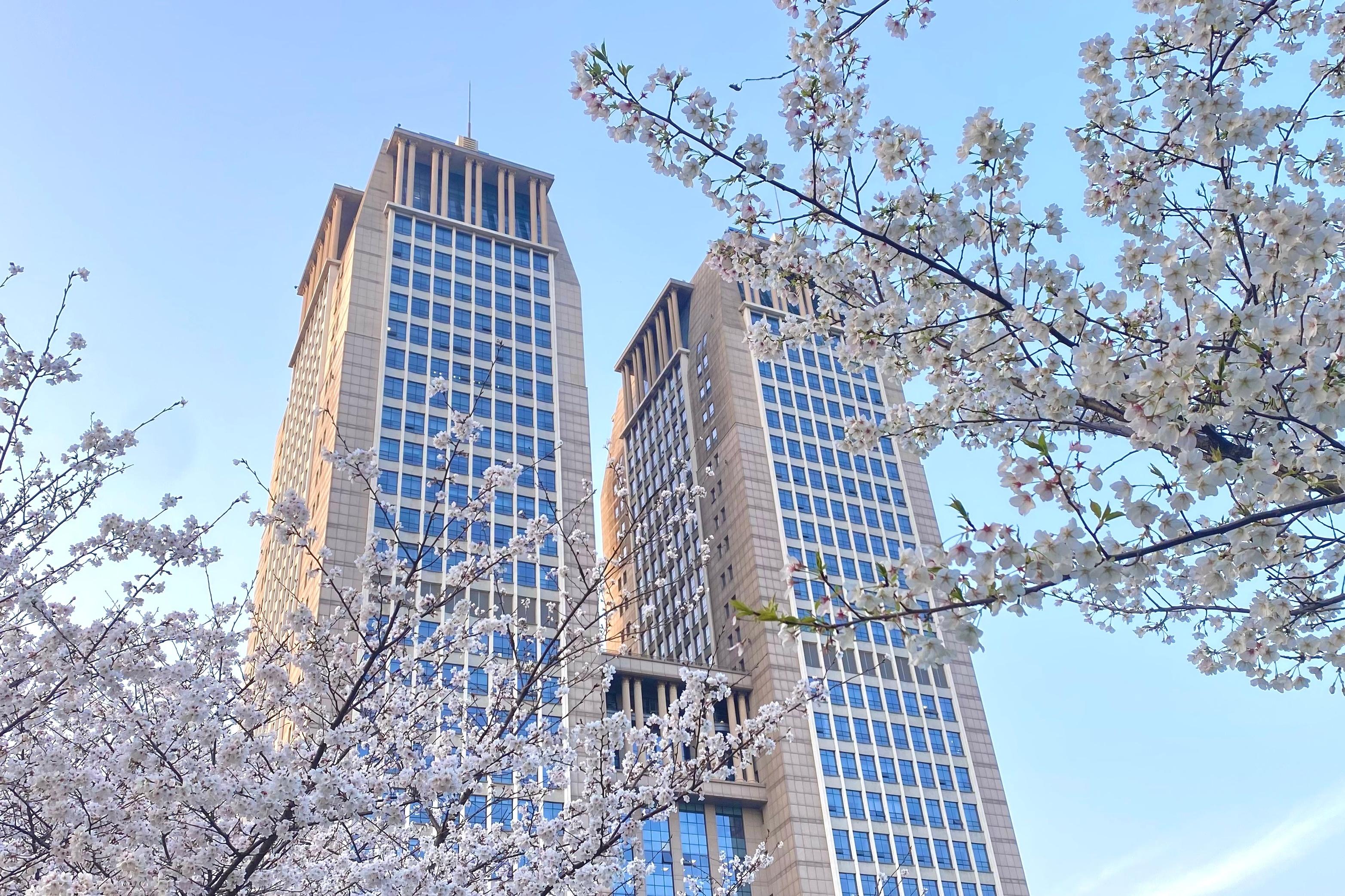 【活动预热】樱花+新质生产力+复旦=？丨FMBA