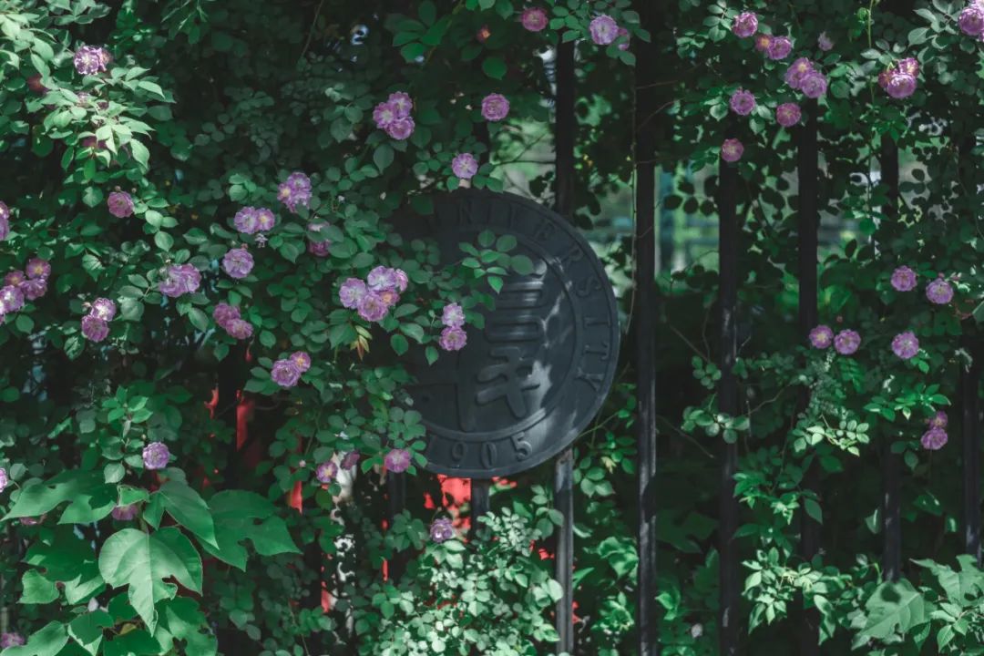 【1-1咨询开放】申请备考犹豫不决？复旦金融MBA学长学姐帮你解决！