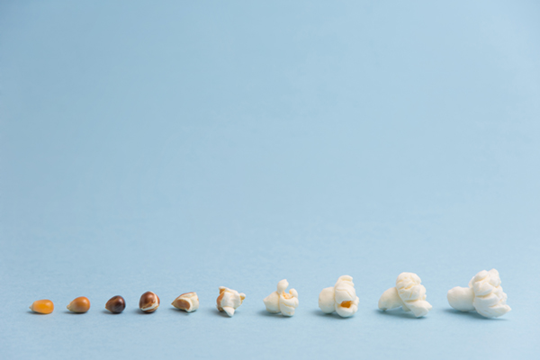 311883438 拷贝.jpg