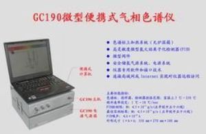 便携式气相色谱仪