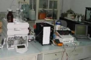 毛细管液相色谱微芯片电泳二维分离系统