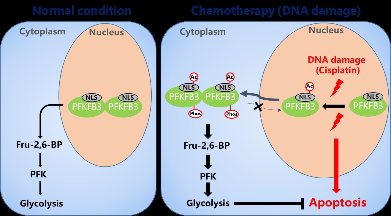 Nat Commu 新闻稿.jpg