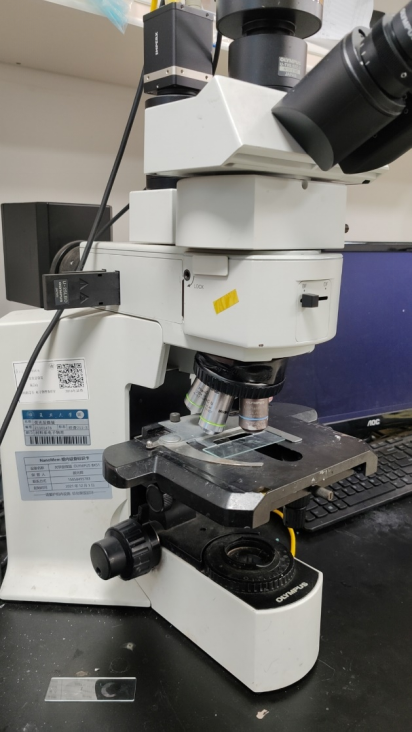 荧光显微镜