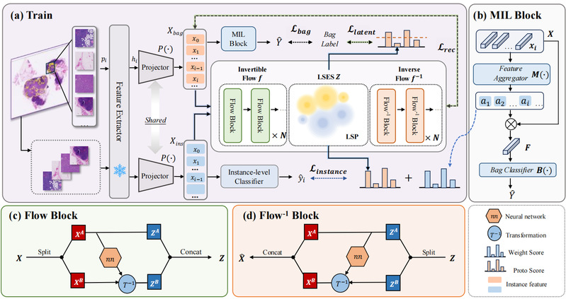 [ICCV 2025] Flow-MIL: Constructing Highly-expressive Latent Feature Space For Whole Slide Image Classification Using Normalizing Flow