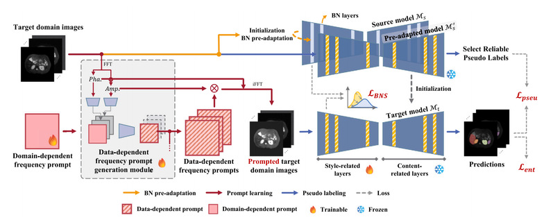 [KBS] DDFP: Data-dependent frequency prompt for source free domain adaptation of medical image segmentation