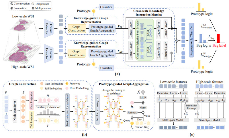 [MICCAI 2025] Knowledge-guided Multi-scale Graph Mamba for Whole Slide Image Classification