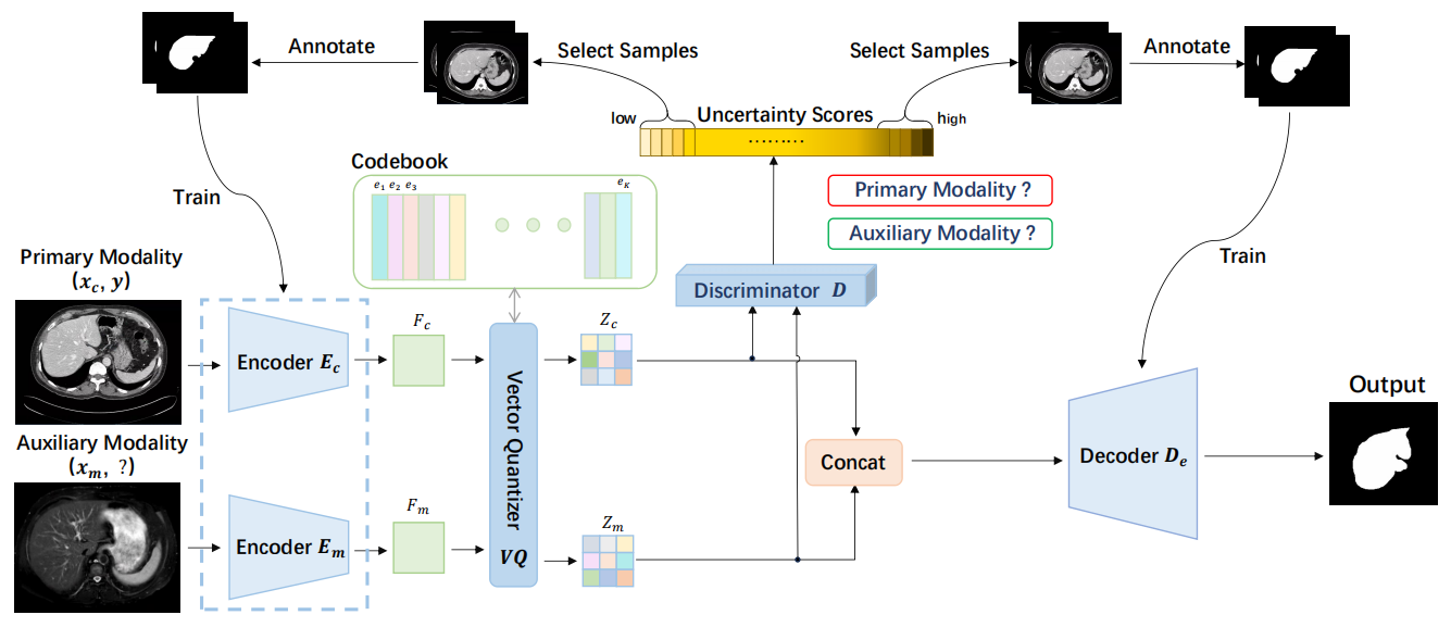 [MICCAI 2025] Vector-Quantization-Driven Active Learning for Efficient Multi-Modal Medical Segmentation with Cross-Modal Assistance